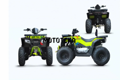 Квадроцикл Progasi (Прогаси) RaceJumper 200 Forest green (машинокомплект)